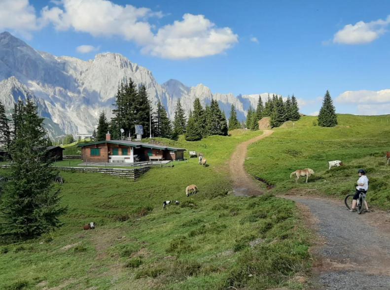 דירות Mühlbach am Hochkönig Hochkoenig Ferien מראה חיצוני תמונה