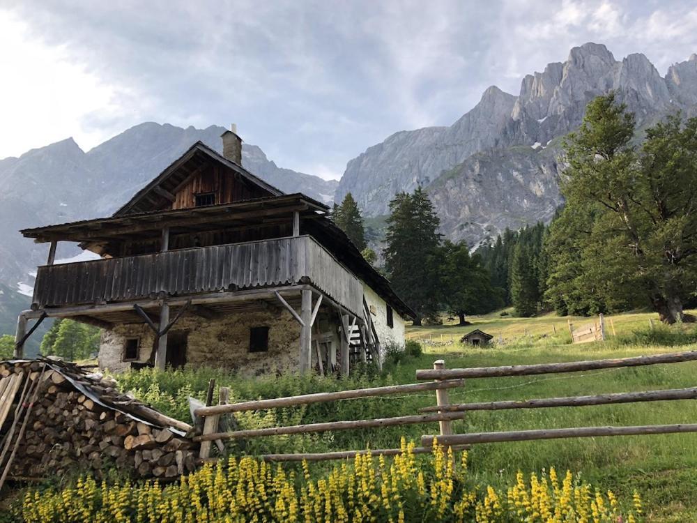 דירות Mühlbach am Hochkönig Hochkoenig Ferien מראה חיצוני תמונה